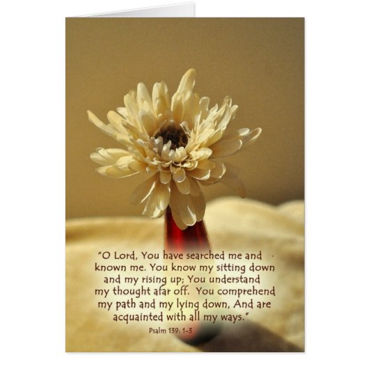 YouhavesearchedmeZazzle Cards (Front)