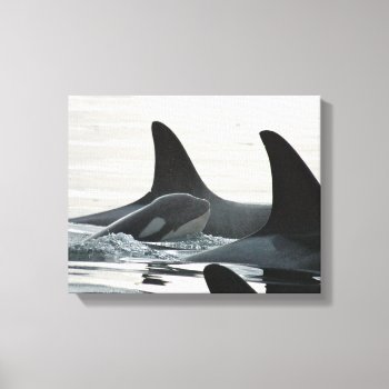 You'll Never Swim Alone Wrapped Canvas by OrcaWatcher at Zazzle