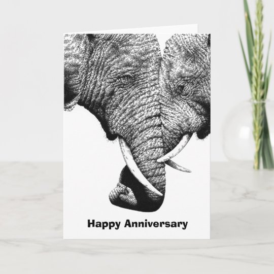 Young African Elephants Anniversary Card Zazzle Com