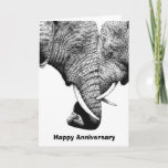 Young African Elephants Anniversary Card at Zazzle