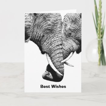 Young African Elephants Birthday Card by lornaprints at Zazzle