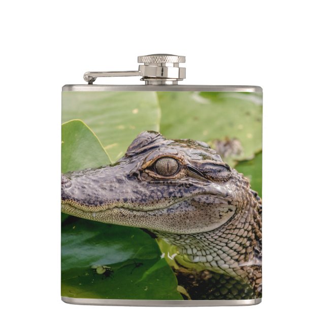 Young Alligator Hip Flask (Front)