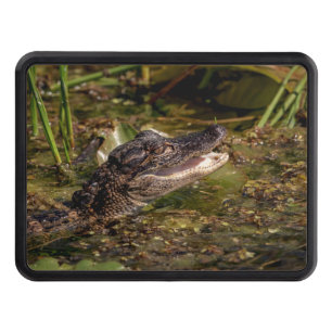 Young Alligator Hitch Cover