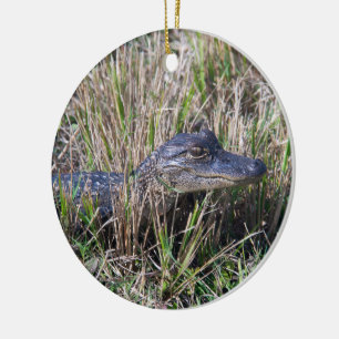 Young Alligator in Marsh Grass Wildlife Nature Ceramic Ornament