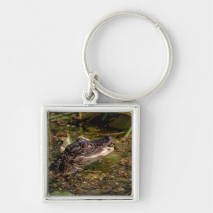 Young Alligator Keychain