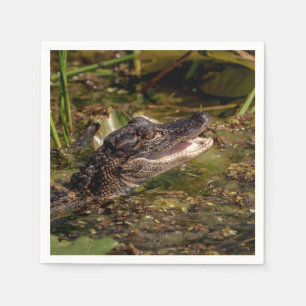 Young Alligator Napkins