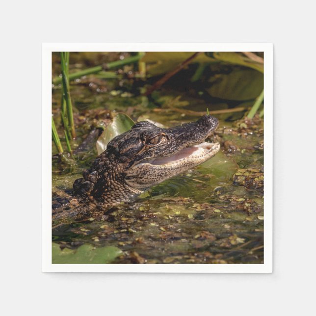 Young Alligator Napkins (Front)
