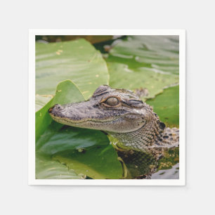 Young Alligator Paper Napkins