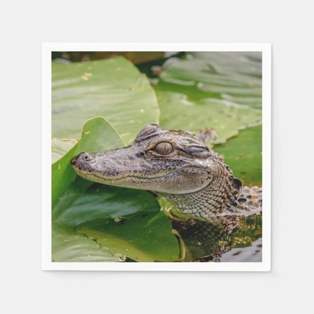 Young Alligator Paper Napkins (Front)