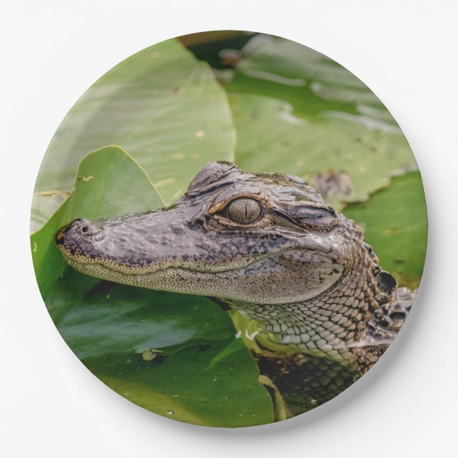 Young Alligator Paper Plates (Front)