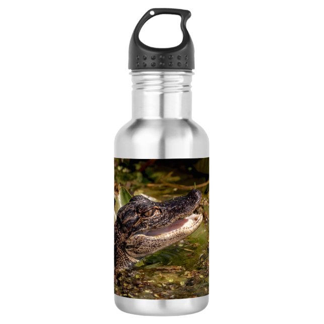 Young Alligator Stainless Steel Water Bottle (Front)