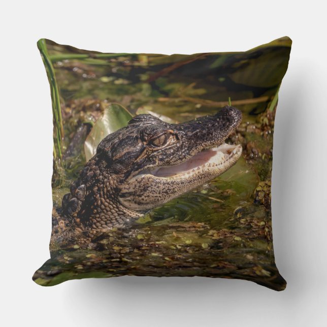 Young Alligator Throw Pillow (Front)