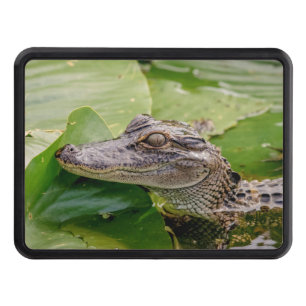 Young Alligator Tow Hitch Cover
