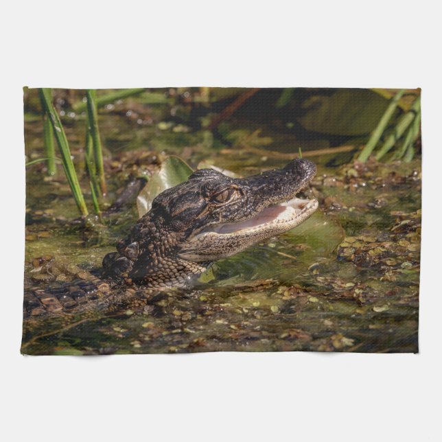 Young Alligator Towel (Horizontal)