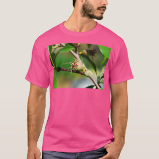 Young Almond Drupes T-Shirt