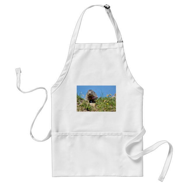 Young Alpine marmot Adult Apron (Front)