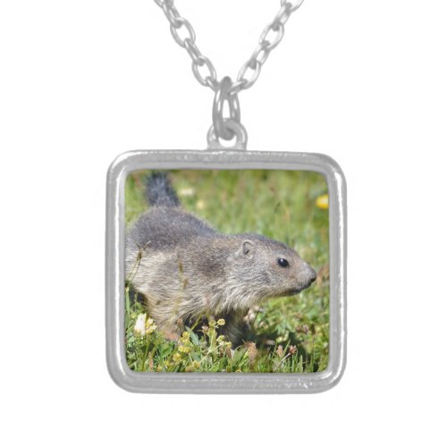Young Alpine marmot in grass Silver Plated Necklace