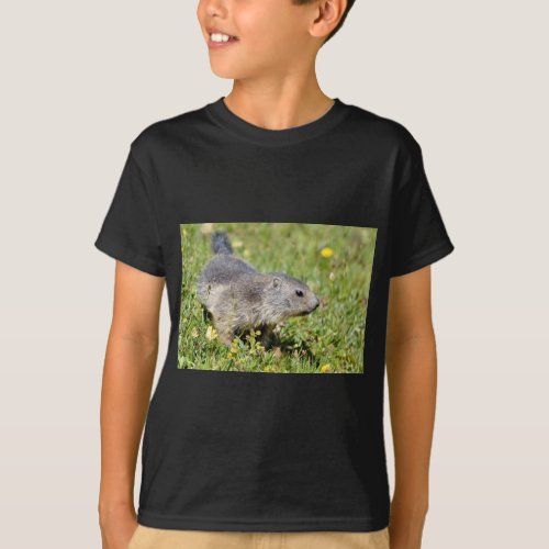 Young Alpine marmot in grass T_Shirt
