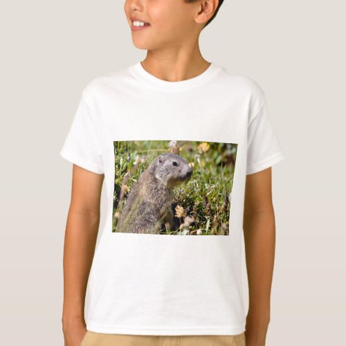 Young Alpine marmot in grass T_Shirt