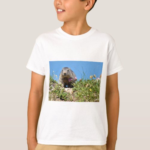 Young Alpine marmot T_Shirt