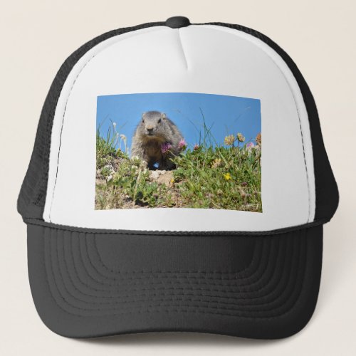Young Alpine marmot Trucker Hat