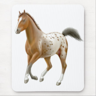Young Appaloosa Horse Mousepad