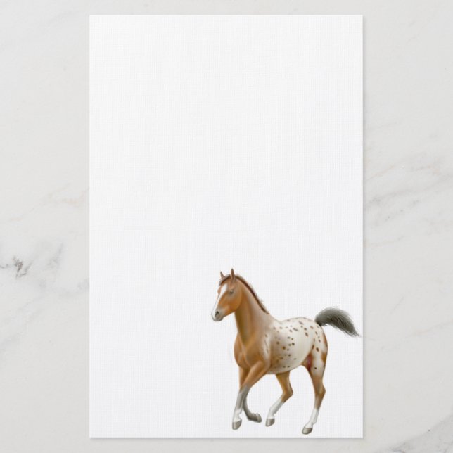 Young Appaloosa Horse Stationery (Front)
