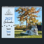 Young at Heart 2025 Calendar - Sweet Senior Souls<br><div class="desc">Enjoy the adorable faces of Young at Heart's senior pets all year long with the Young at Heart 2025 Calendar - Sweet Senior Souls! Each purchase helps care for the senior dogs and cats of Young at Heart!</div>