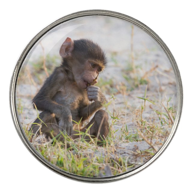 Young Baboon Golf Ball Marker (Front)