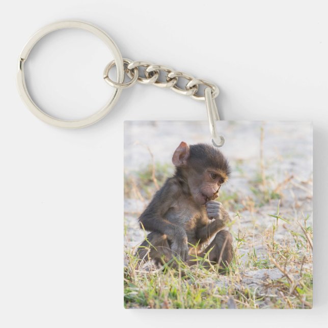 Young Baboon Keychain (Front)