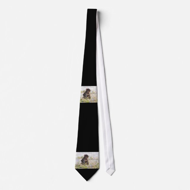 Young Baboon Neck Tie (Front)