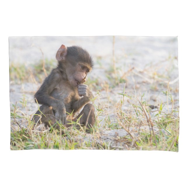 Young Baboon Pillow Case (Front)