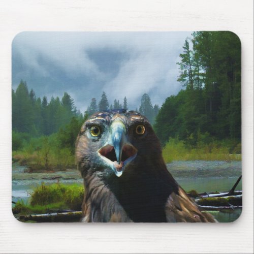 Young Bald Eagle and Misty Alaskan River Mouse Pad