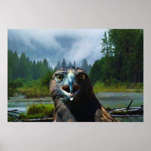 Young Bald Eagle and Misty Alaskan River Poster