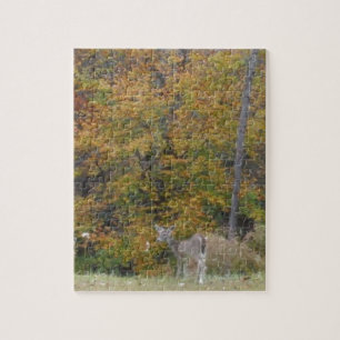 Young Bambi Deer with fall trees. Jigsaw Puzzle
