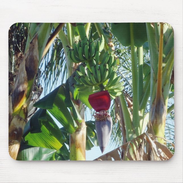 Young Bananas Mouse Pad (Front)