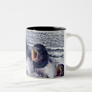 young barn swallows Two-Tone coffee mug