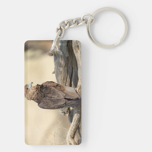 Young Bateleur Keychain (Back)