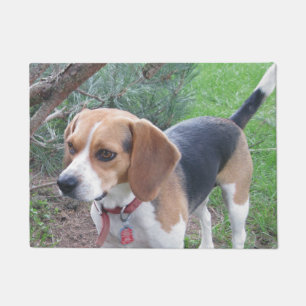 Young Beagle Hound Door Mat