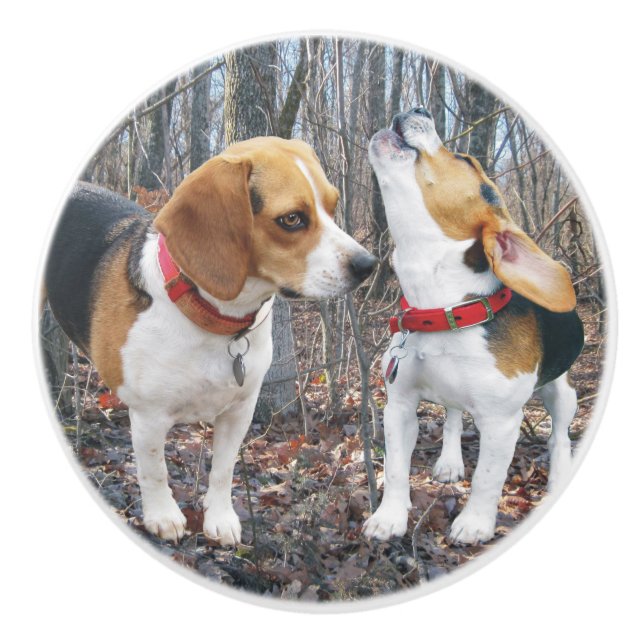 Young Beagles Woodland Ceramic Knob (Front)