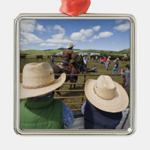 Young boys take in the 2007 Hughes Ranch Metal Ornament