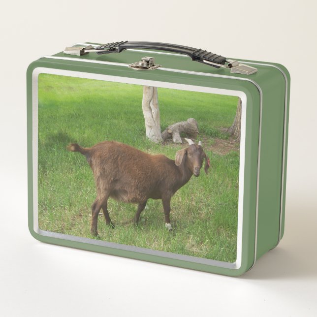 Young Brown Goat in Grass Metal Lunch Box (Front)