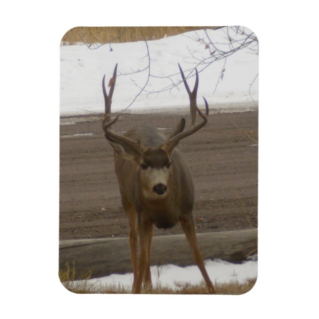 Young Buck Flexible Magnet (Vertical)