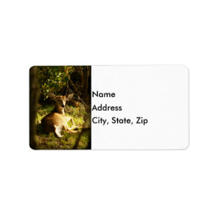 Young Buck in the Meadow Label