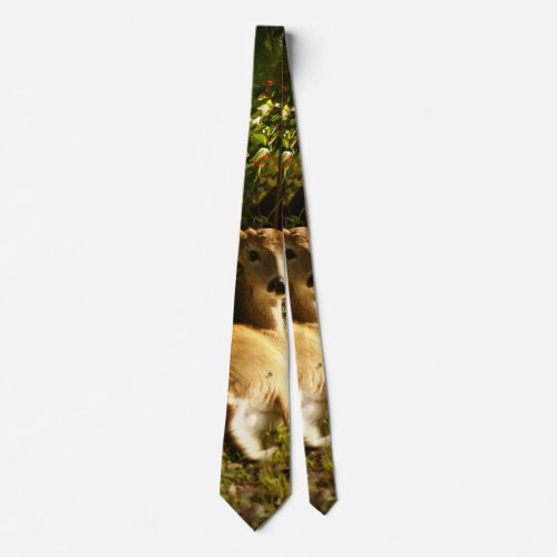Young Buck In The Meadow Neck Tie