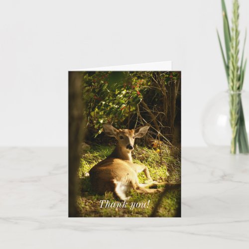 Young Buck In The Meadow Thank You Card