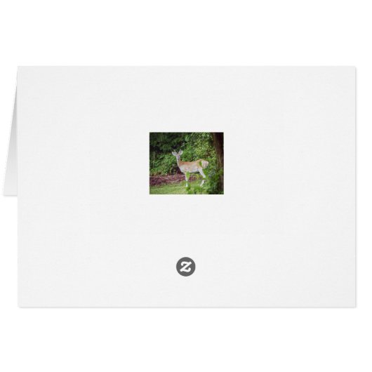 Young Buck in Velvet (Back Horizontal)