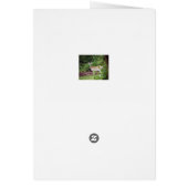 Young Buck in Velvet (Back)