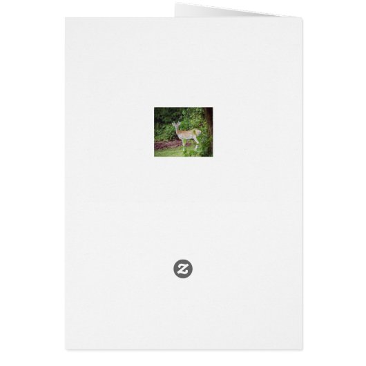 Young Buck in Velvet (Back)