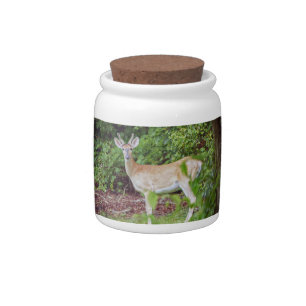 Young Buck in Velvet Candy Jar